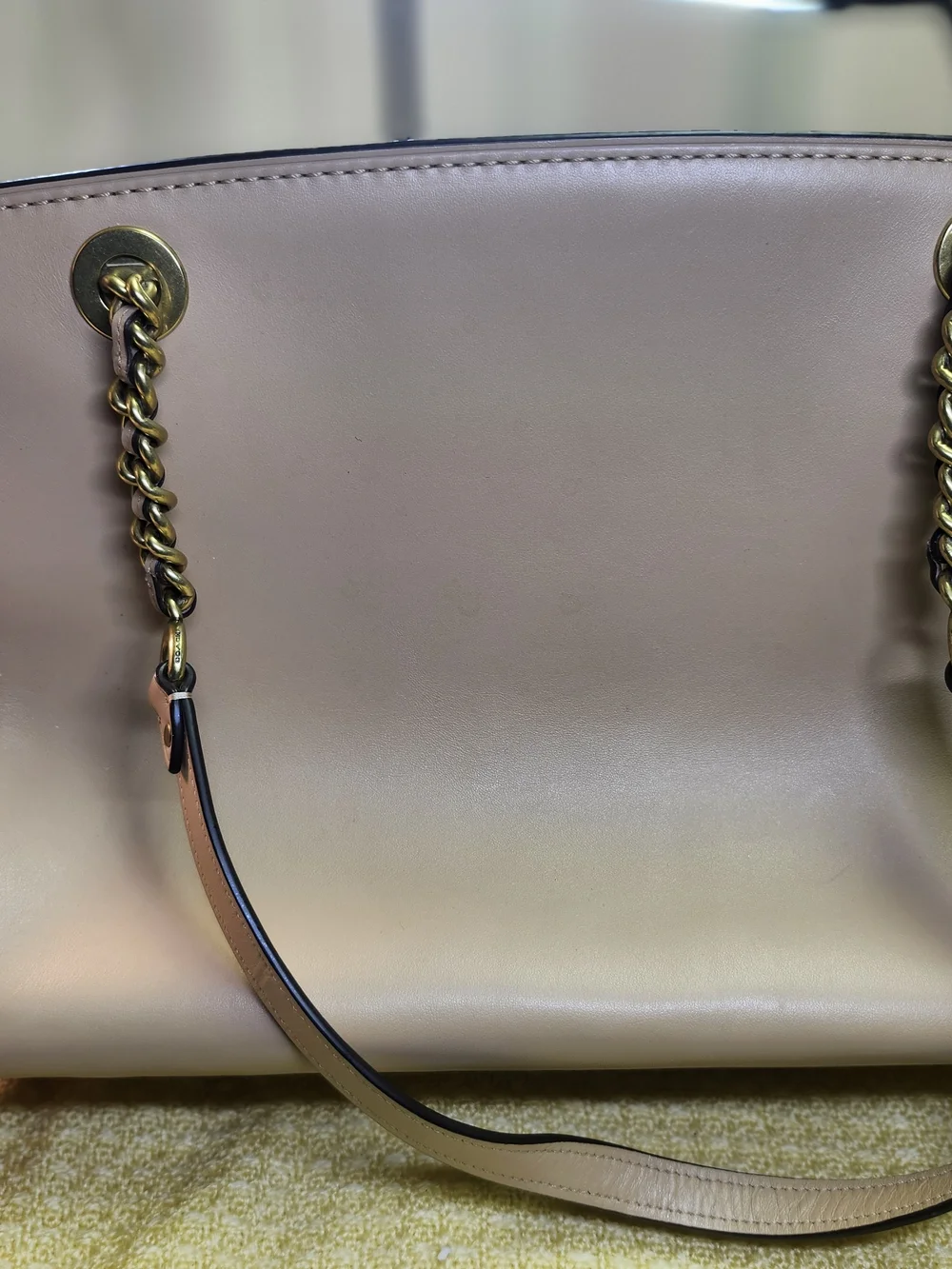 Coach Blush Leather Chain-Handle Shoulder Bag